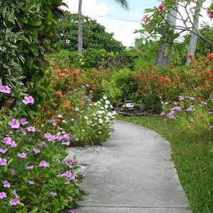 pension-bounty-rangiroa